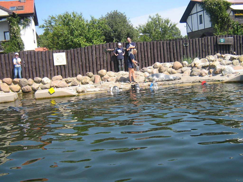 5 189.jpg